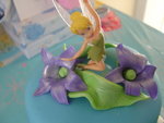 Erin's Birthday Cake!